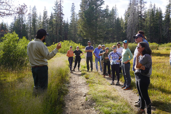 LFP battery chemistry